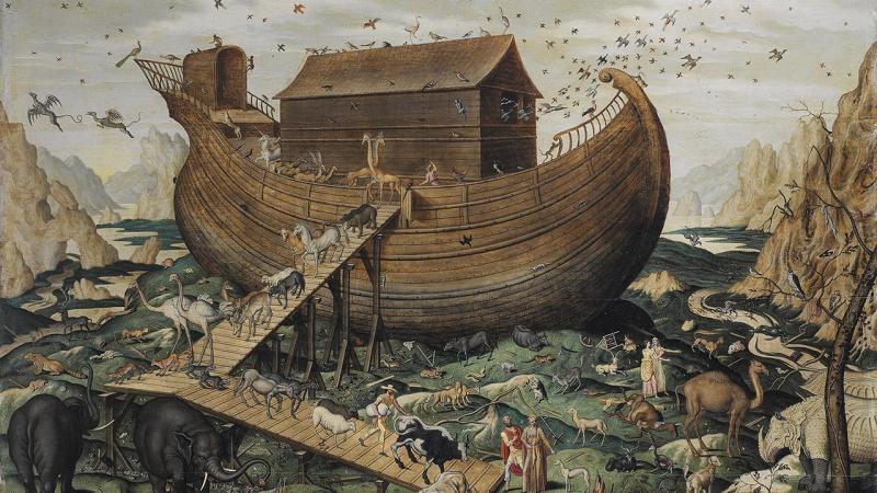 قصة النبي نوح عليه السلام ورحلة البناء العظيمة للفلك.. «أولو العزم من الرسل3»