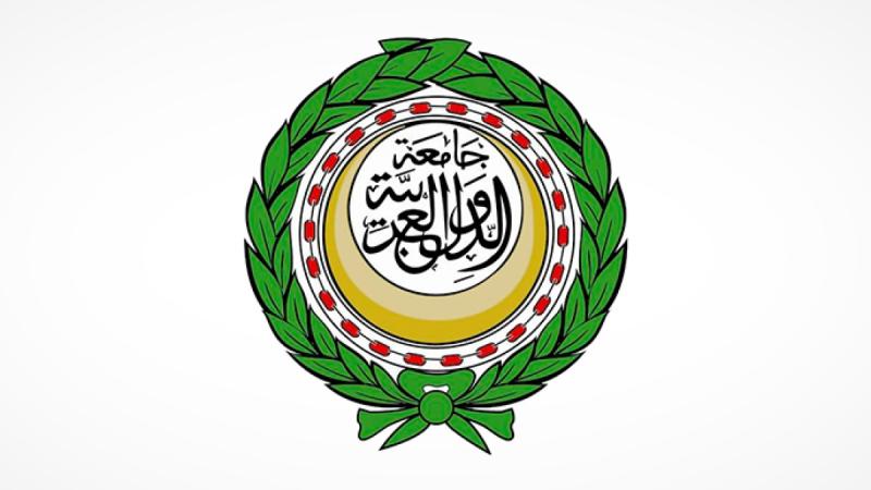 الجامعة العربية تدعو إلى احترام الكرامة الإنسانية للمهاجرين