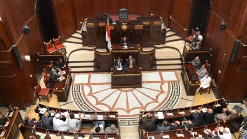 برلمانية مصرية تستعرض طلب مناقشة عامة حول مشكلات الثروة السمكية