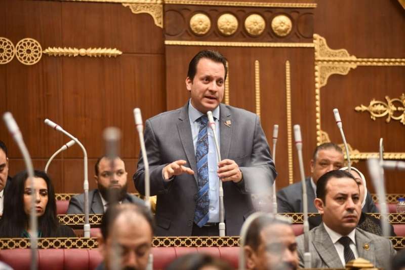رامي جلال عضو مجلس الشيوخ