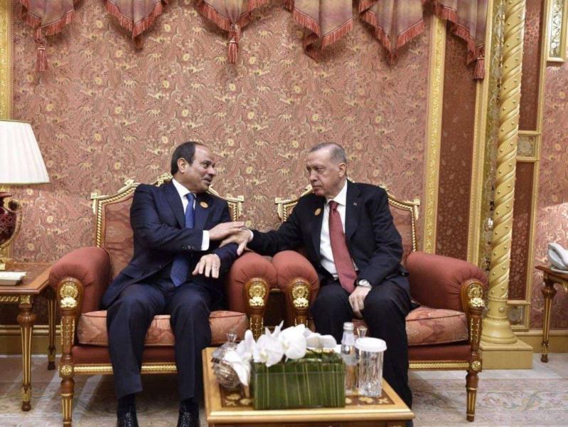 الرئيس التركي: سيظل التعاون مع مصر لوقف إطلاق النار في غزة