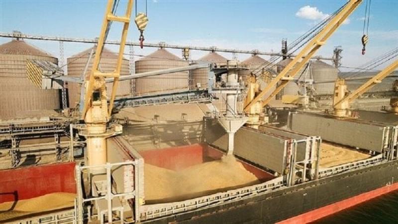 الأمم المتحدة: روسيا زادت إمدادات القمح لمصر خلال 11 شهرًا لــ 2023
