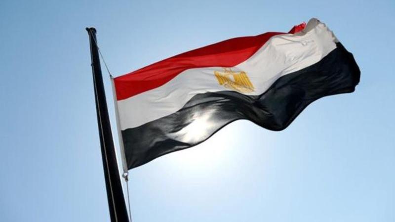 مبادرة «ساعة مع الوزيرة» تعزز التواصل مع الجاليات المصرية في المجر وبولندا والتشيك وسلوفاكيا