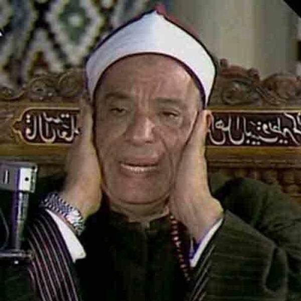 الشيخ علي حجاج السويسي