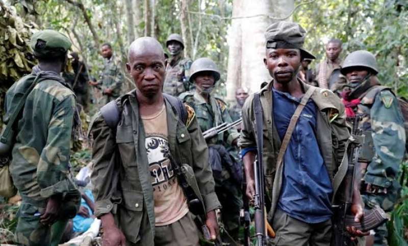 القوات الديمقراطية المتحالفة.. إرهاب داعش في الكونغو