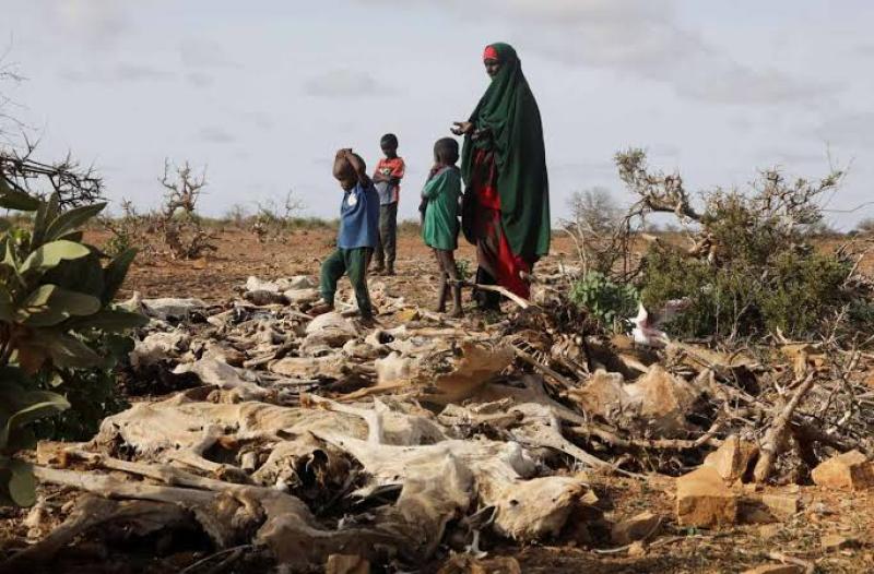 أزمة الغذاء والإرهاب في الصومال 