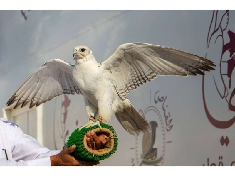 قطر تحتفي بالتراث الثقافي غير المادي في اليونسكو بباريس