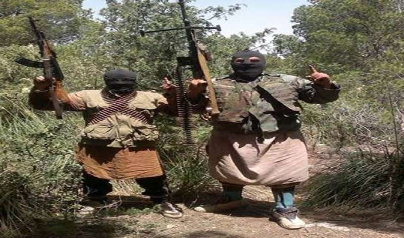 كتيبة عقبة بن نافع.. إرهاب داعش في جبل الشعانبي