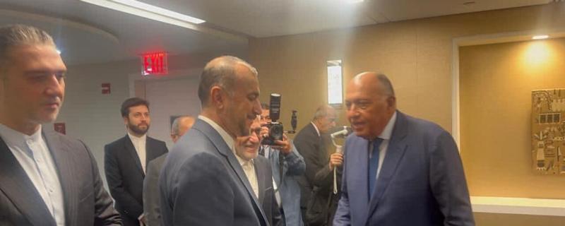 وزير الخارجية المصري يلتقي نظيره الإيراني ويتناولان العلاقات والوضع في غزة