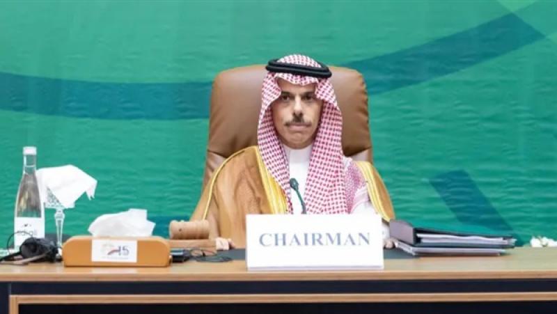 وزير خارجية السعودية: القضية الفلسطينية أولوية لدى منظمة التعاون الإسلامي منذ إنشائها