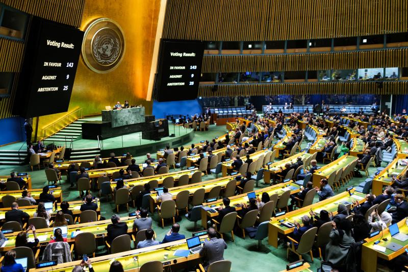 الأمم المتحدة تعلن قرارها بشأن أحقية فلسطين في الحصول على العضوية الكاملة