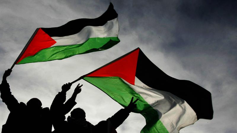 البرلمان الدنماركي يعلن قرار مفاجئ بشأن الاعتراف بالدولة الفلسطينية