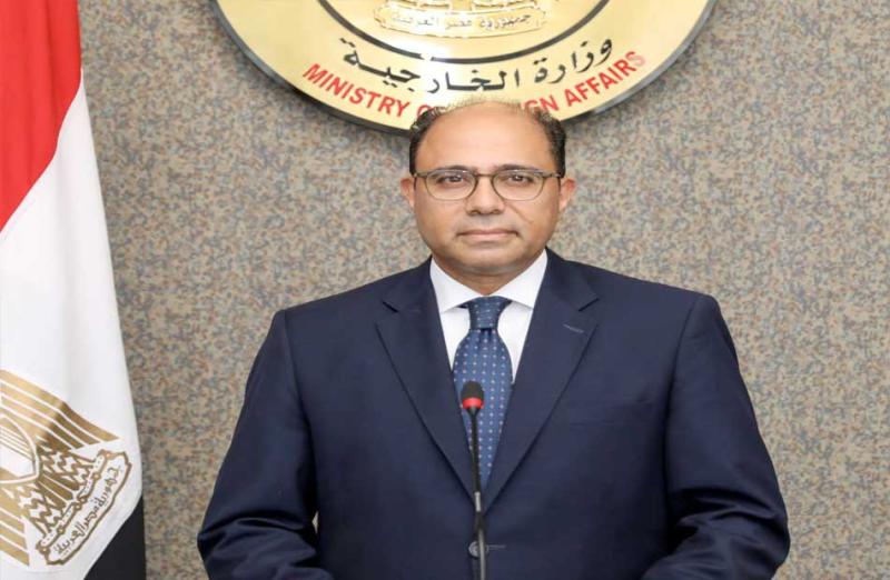 المتحدث الرسمي لوزارة الخارجية المصرية..  يدعو لعمليات حفظ سلام اممية اكثر فاعلية