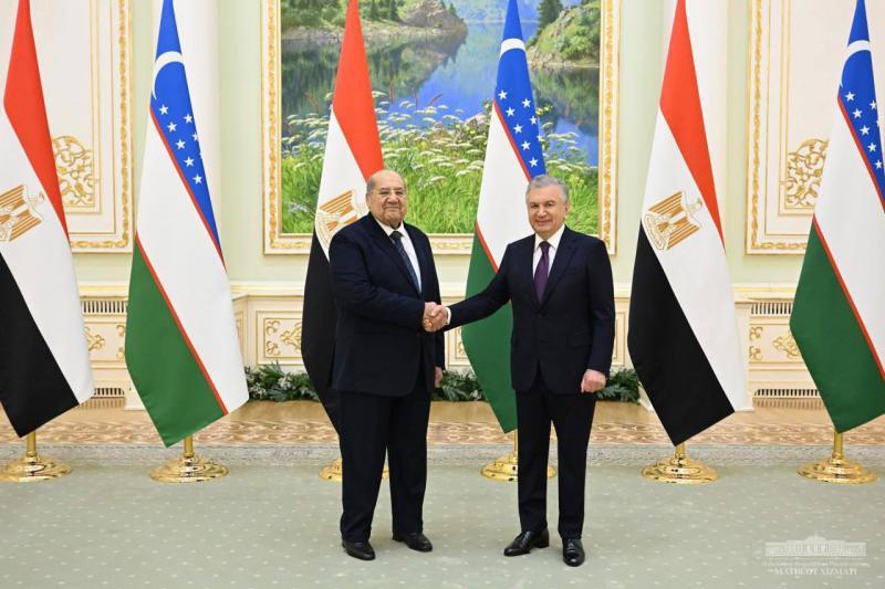 رئيس مجلس الشيوخ المصرى يلتقي برئيس اوزبكستان