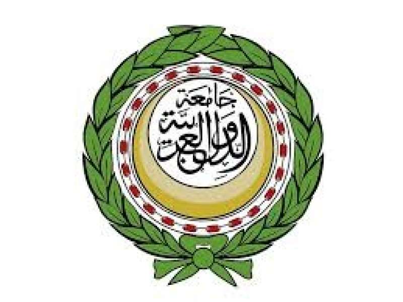 الجامعة العربية والأمم المتحدة يطلقان حملة ”احميها”