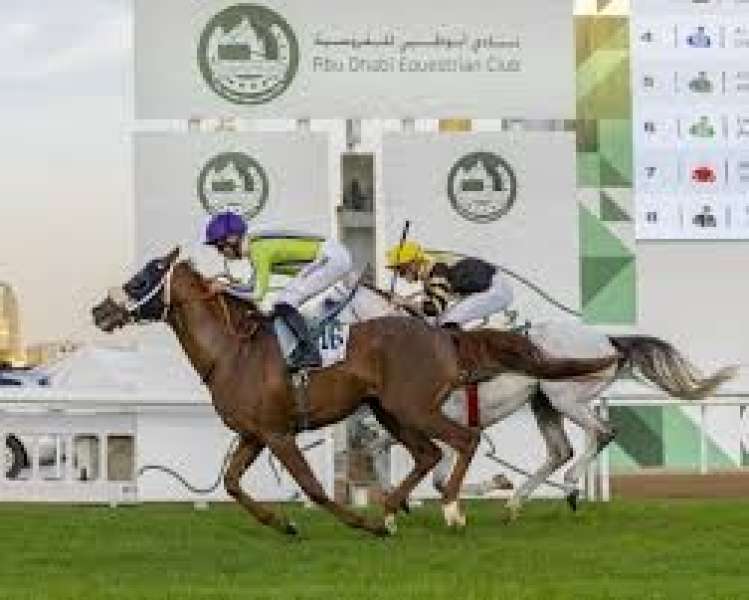كأس رئيس الامارات للخيول العربية تعزيز للدبلوماسية الرياضية