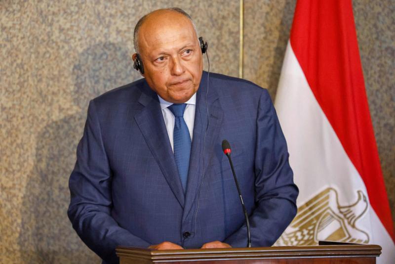 شكري يؤكد تأييد مصر لجهود التوصل لحل سياسي للأزمة اليمنية