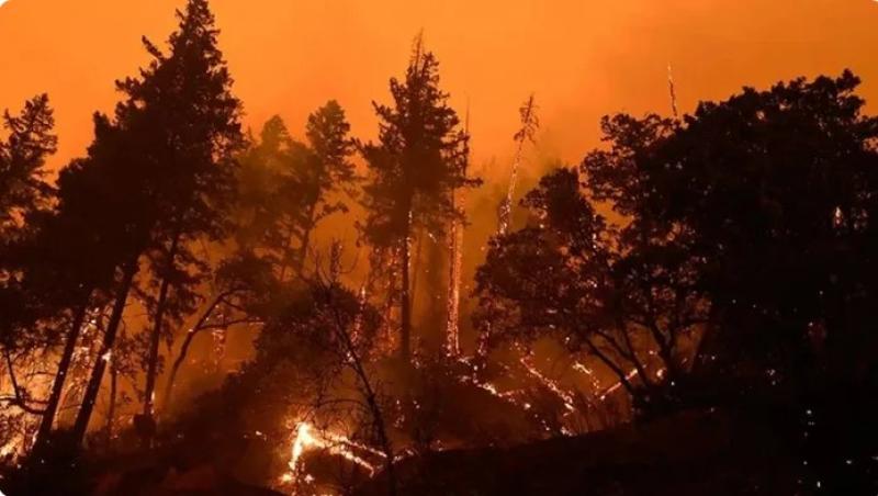 إخلاء قرى وفنادق في اليونان بسبب حرائق الغابات