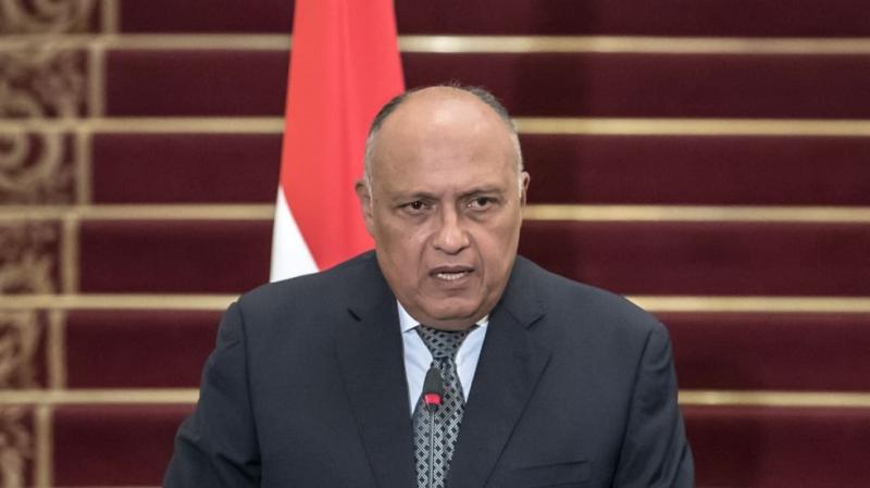 وزير الخارجية: مصر ترى أهمية تطبيق مبدأ الحلول الإفريقية لمشاكل القارة