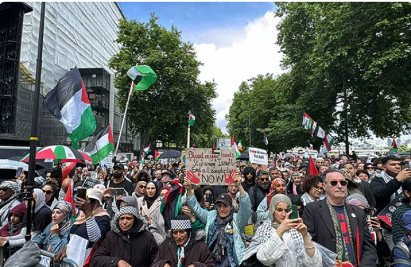 مسيرات تتضامن مع فلسطين