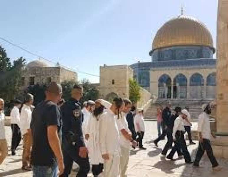 ”الأوقاف الفلسطينية ” تطالب بوضع حد للانتهاكات الإسرائيلية في المسجد الأقصى