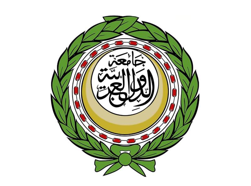 جامعة الدول العربية 