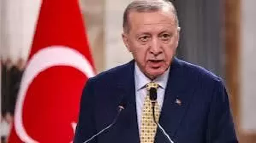 رجب طيب أردوغان 