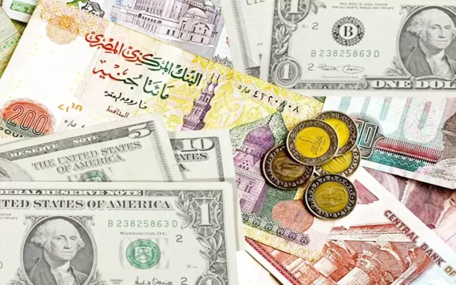 سعر الدولار مقابل الجنيه المصري اليوم الثلاثاء 21-1-2025