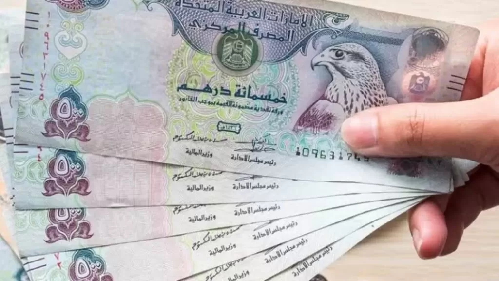 بنسبة نمو 16%.. التحويلات النقدية في الإمارات تسجل 19.8 تريليون درهم