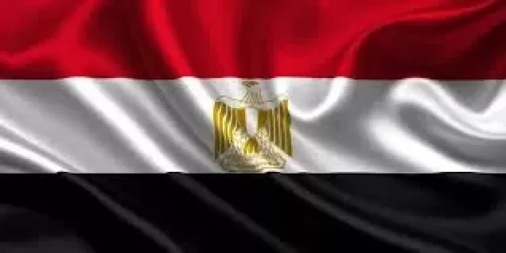 وزير الخارجية المصري يهاتف وزير خارجية ألمانيا الجديد