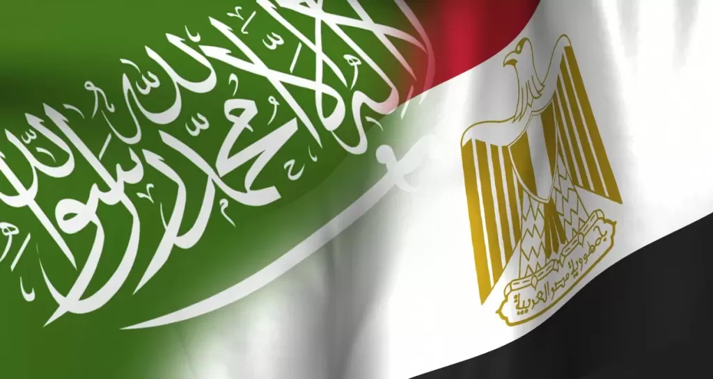 تفاصيل لقاء مصر والسعودية بشأن المجلس التنسيقى المشترك