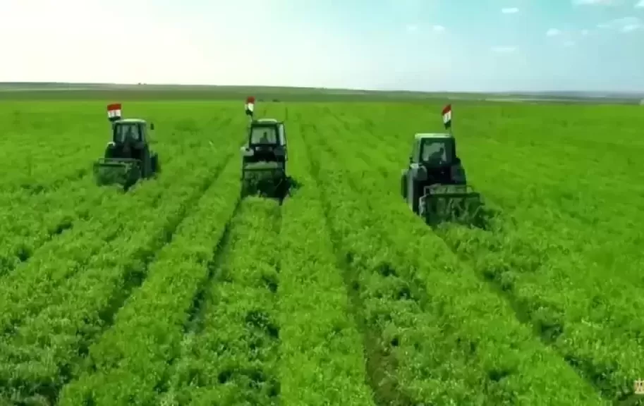 «الدلتا الجديدة» مستقبل مصر الواعد