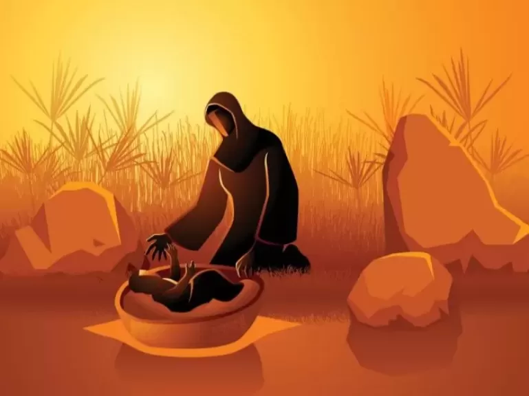 الستات حكايات.. أم موسى امرأة لا تعرف الخوف