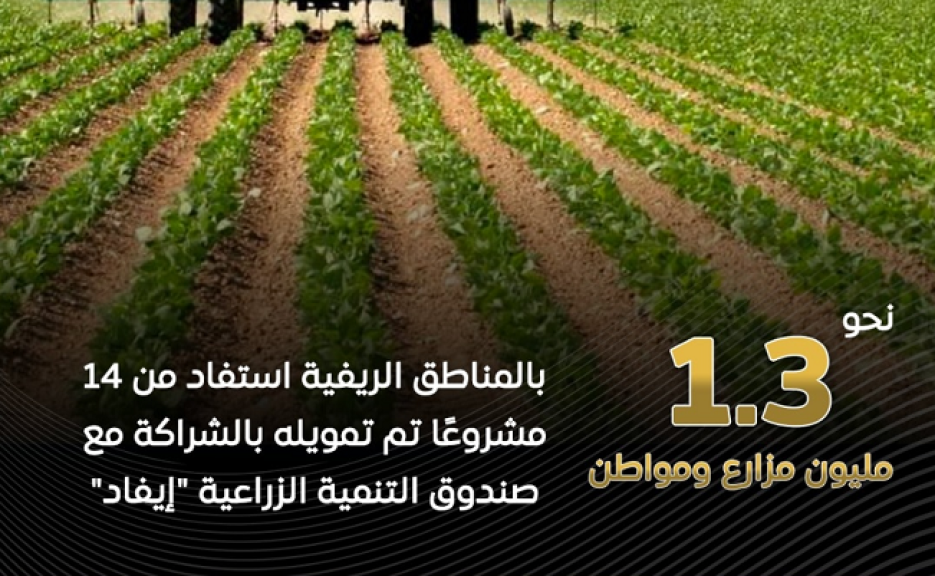 مصر توقع عقد شراكة مع الصندوق الدولي الزراعي لإتاحة 1.1 مليار دولار