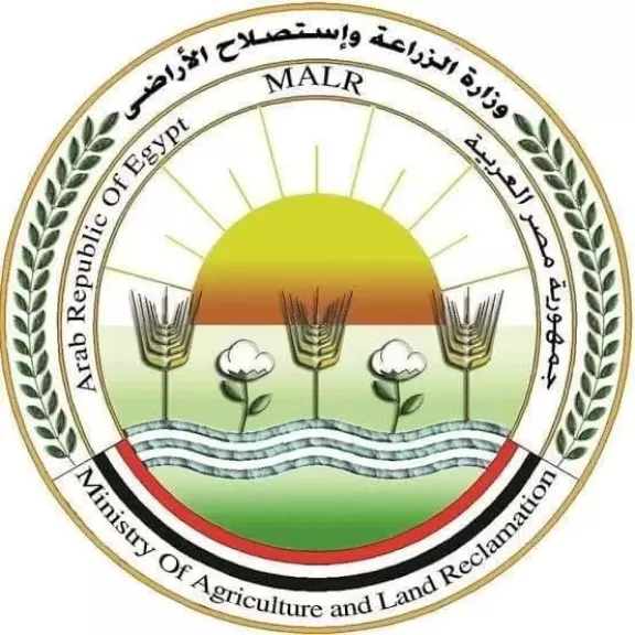 مصر تنفي طرح مبنى وزارة الزراعة إلى الاستثمار الخليجي