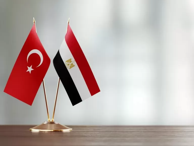 مباحثات بين مصر وتركيا بشأن التطورات في غزة وليبيا