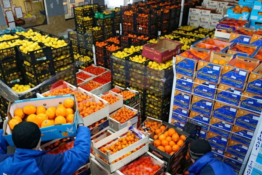 الصادرات الزراعية المصرية تقفز إلى 4.8 مليون طن منذ بداية 2025