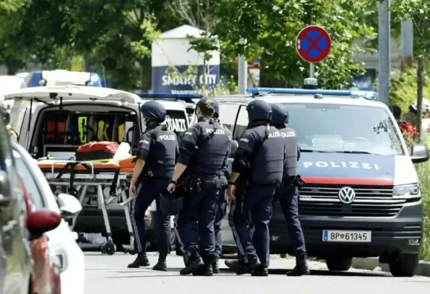 مصر تعزي ضحايا النمسا.. و«فيينا»: الحادث قد يكون بسبب التنمر